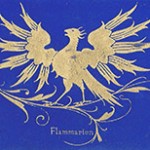 Phenix_Boite