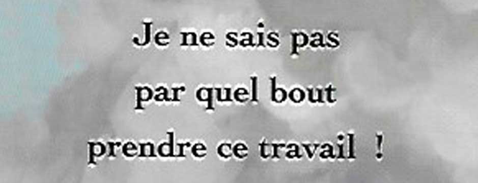 Je ne sais pas par quel bout attraper ce travail !